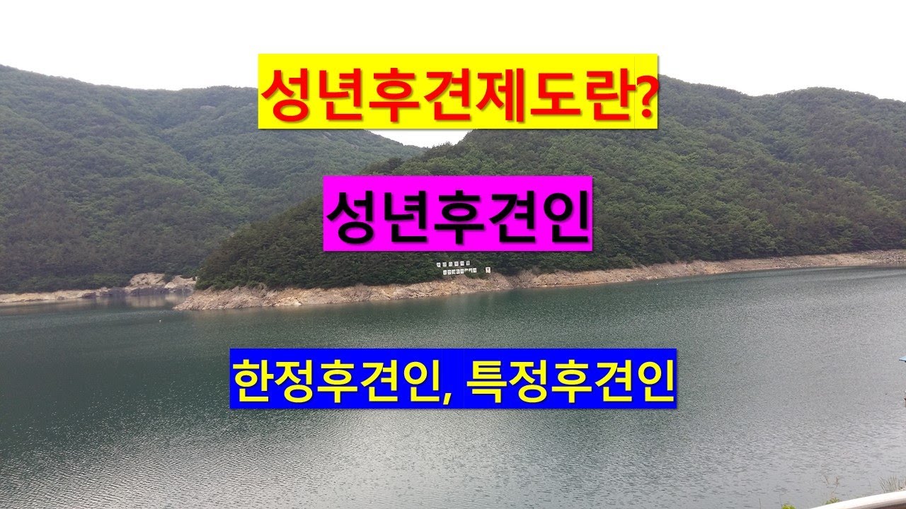 성년후견제란 무엇인가? [법무사 법풀이] #성년후견인 #피성년후견인 #한정후견인 #특정후견인 #금치산자와 한정치산자 - Youtube