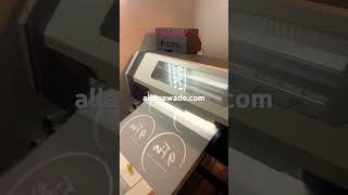 Fastest turnaround on quality dtf printed orders right here