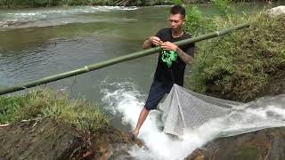 Hunting Wild Fish - Create A Net System To Trap Stream Fish | Top 1 Video Fishing - Unique Fishing
