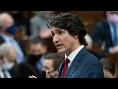 Justin Trudeau on convoy protests: 'It has to stop' | COVID-19 in Canada