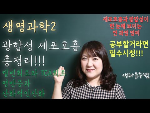 [생과쌤과 생명과학2]3.세포호흡과 광합성 / 18.세포호흡과 광합성 총정리