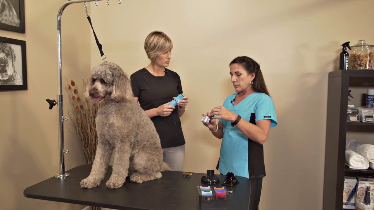 wahl motion lithium ion pet clipper