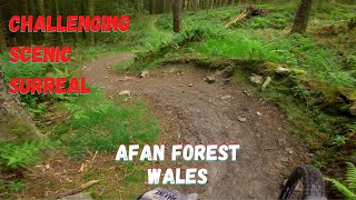 Afan Forest MTB *WHITES LEVEL* - a SURREAL mtb experience!