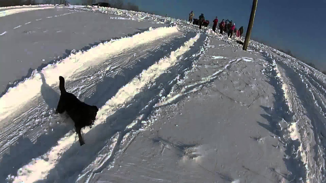 Blizzard in Kentucky 2016 YouTube