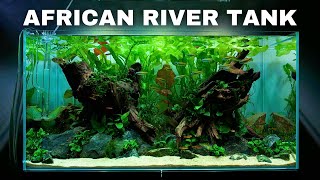 EPIC Africa Aquarium! Aquascape Tutorial w/ Butterfly Cichlid & Congo Tetra by MJ Aquascaping 58,151 views 4 months ago 20 minutes