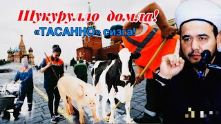 Шукурулло домла! «Тасанно» сизга!