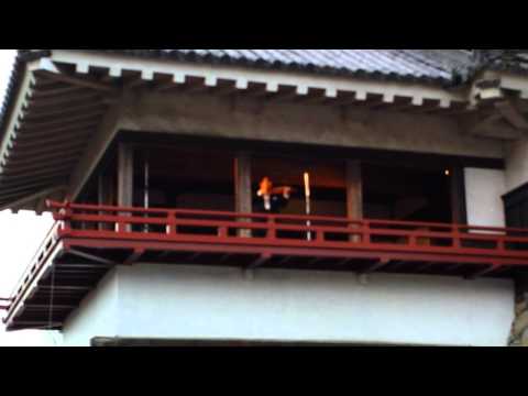 国宝松本城夜桜会山中雅博さん ６