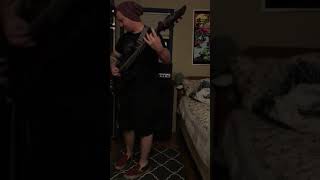 Acrania-disillusion in a discordant system (guitar cover)