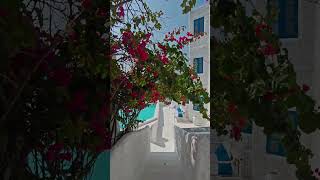 #music #remix #edm #alanwalker #electronicmusic #nuwaisir #lifeisbutadream #cute