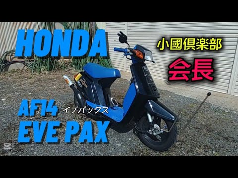 小国倶楽部 会長 愛車紹介 HONDA AF14 EVE PAX ホンダ イブパックス 小国倶楽部 会長 愛車紹介 HONDA AF14 EVE PAX ホンダ イブパックス