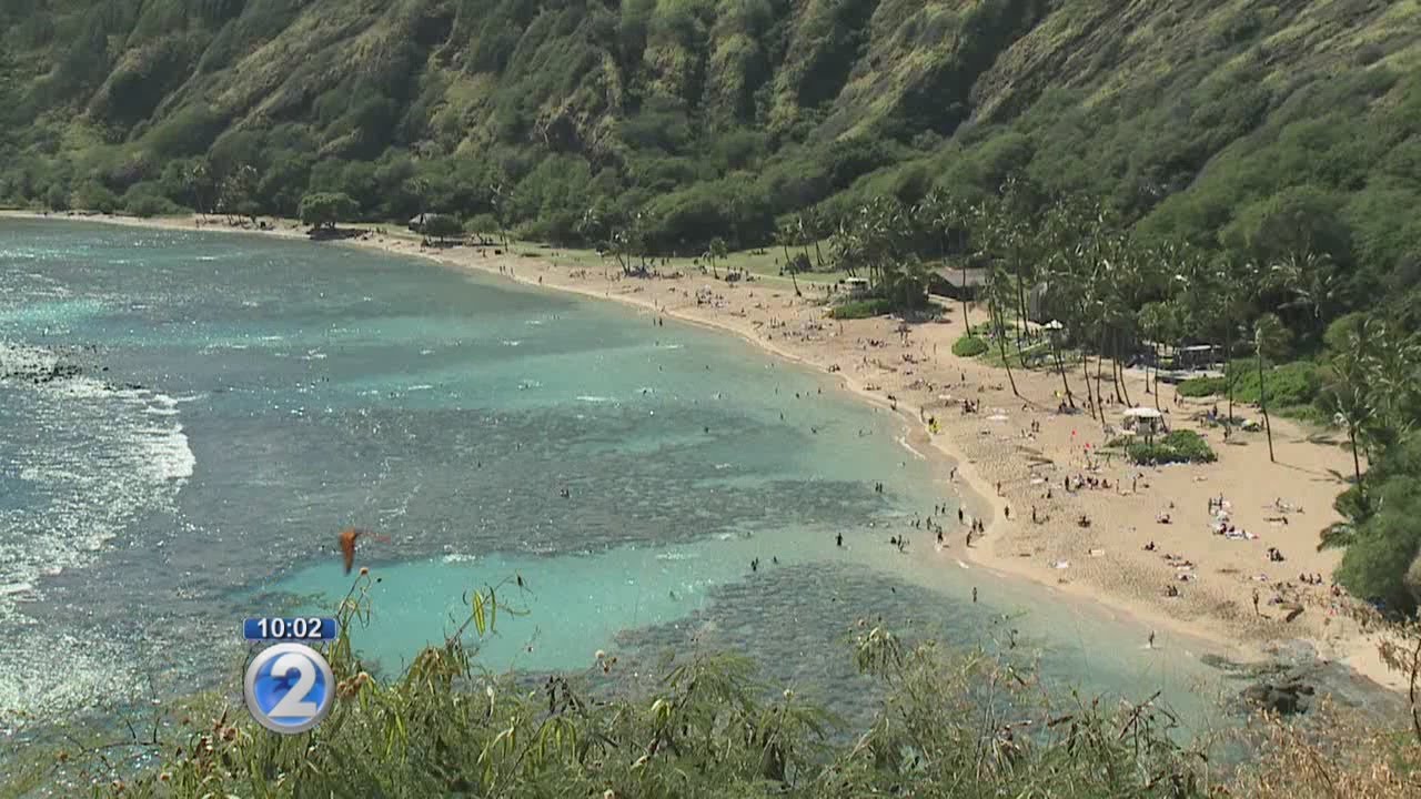 Drowning at Hanauma Bay YouTube