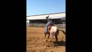 Cones and Barrels 4-27-14