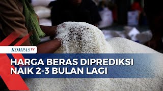 Bapenas Prediksi Harga Beras Naik 2-3 Bulan Lagi