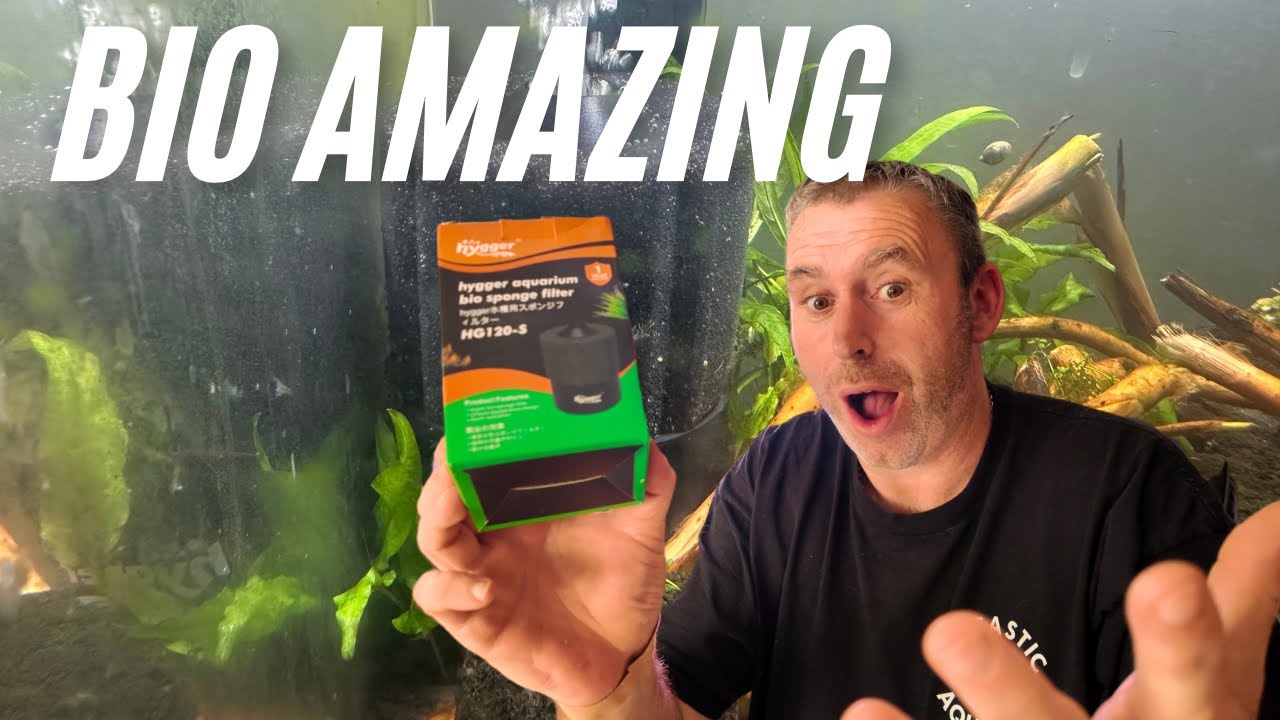 Hygger Hybrid Sponge Filter — Simple, Silent, Effective!