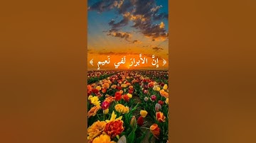 سورة الإنفطار : القارئ حريز زعبنوت المهري