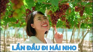 Lần Đầu Chị Thơ Đi Hái Nho Tại Vườn Cực Đã