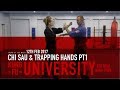 Wing chun kung fu chi sau and trapping hands techniques