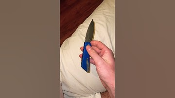 Protech strider PT+ #edc