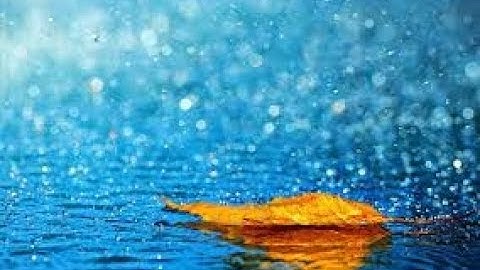 القارئ التونسي انور عبد الحميد قضوم \ تلاوة رائعة من سورة يس