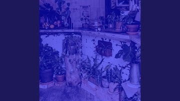 Opulent Magical Java