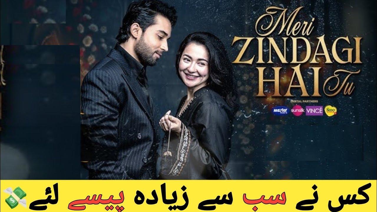 Meri Zindagi Hai Tu ڈرامے کے اداکاروں کی کمائی | Actors Income Revealed