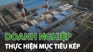 Doanh nghiệp với việc thực hiện mục tiêu kép trong bối cảnh dịch bệnh | VTC14