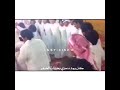 جمع المخاضيب الهلالية 