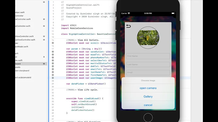 Swift 5.1 & Xcode 11,  Photo from Gallery and camera