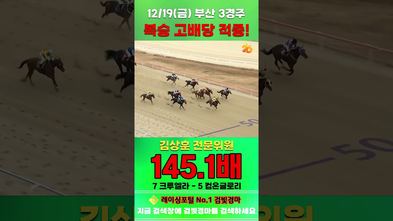 [부산 경마] 12월 19일 금요 3경주 김상훈 전문위원 복승 고배당 적중 #한국마사회 #automobile #경마 #horse #하이라이트 #게임