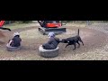 Excavator swinging ￼
