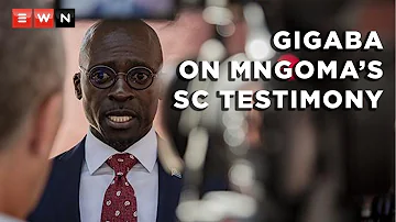 Gigaba: Mngoma said she was pressured to surrender him in exchange for financial compensation