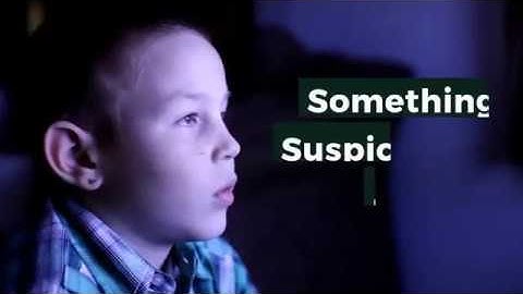 INTRODUCING SHADY PETS