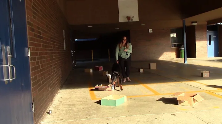 AKC Scent Work Foundation Training Containers