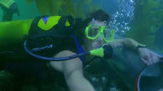 Hot Scuba Girls fight underwater and get out of air