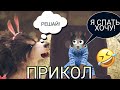 WildCraft Прикол Задача про землекопов 😂😂