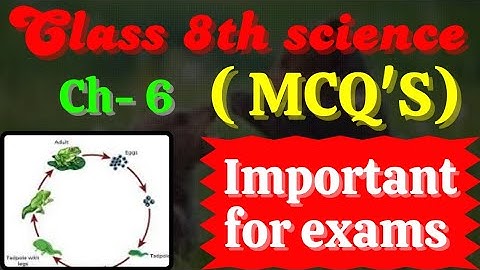 class 8 science chapter 6 reproduction in animals mcq | class 8 science chapter 6 mcq