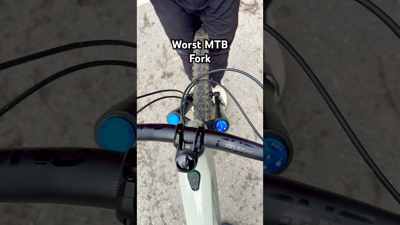 130$ Temu MTB Fork Crazy Flex 🤯 