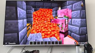 Minecraft - Prisión de Mobs 