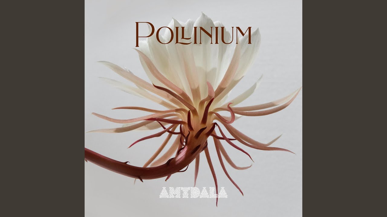 Watch Pollinium on YouTube Watch Pollinium on YouTube