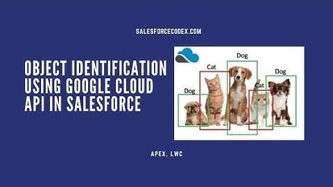 Object Identification using Google Cloud Vision in Salesforce