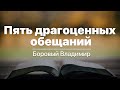 Пять драгоценных обещаний - Боровый Владимир