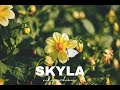 Dj skyla mashup 2024 taumai acha