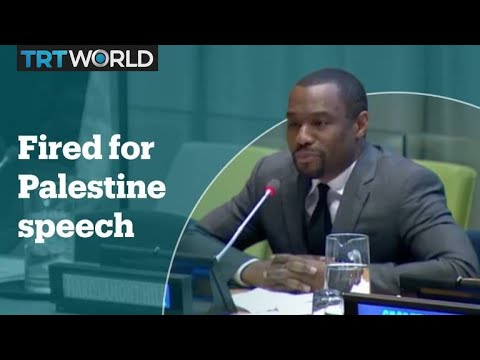 CNN commentator fired after 'free Palestine' speech at UN