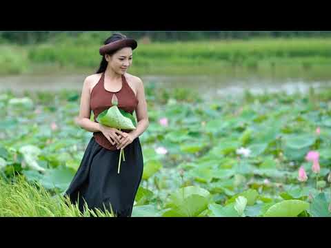 Video Lá Diêu Bông - Tuấn Vũ - youtube