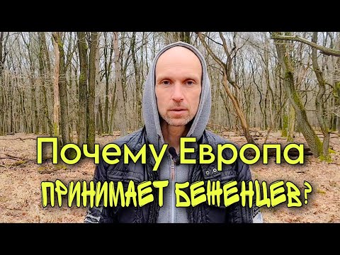❓ПОЧЕМУ Европа принимает беженцев из Украины 🇺🇦 В чем выгода от миграции в Нидерландах и Германии.