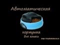 Автоматическая кормушка для кошки