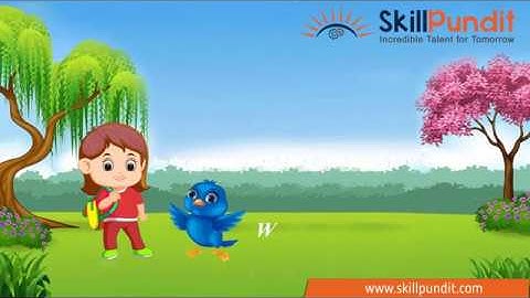 SkillPundit: If you Can do this Test. You have Unique Eyesight, Can U? | Birds | Video 5