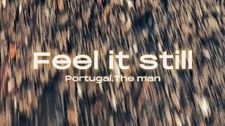 Portugal. The man – Feel it still (Music video)