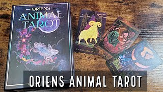 Oriens Animal Tarot | Flip Through and Review