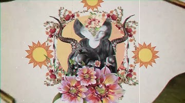Stray Fossa - Hypocritic (Official Video)